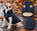 Chihuahua trägt die Wetterhund Regenweste in Navy auf nassem Herbstweg, daneben Vorder- und Rückansicht mit Leinenschlitz